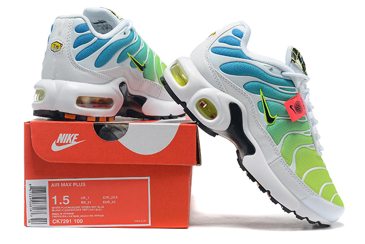 TN air cushion nike AIR MAX PLUS" white, blue, green"